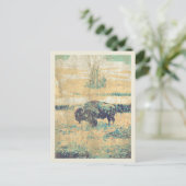 Buffalo op de vlakten van het Amerikaanse Briefkaa Briefkaart (Staand voorkant)