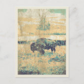 Buffalo op de vlakten van het Amerikaanse Briefkaa Briefkaart (Voorkant)