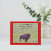 Buffalo op Lakota Lands Briefkaart (Staand voorkant)