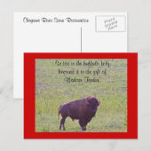 Buffalo op Lakota Lands Briefkaart (Voorkant / Achterkant)