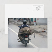 Buffalo op motorfiets-Vietnam Briefkaart (Voorkant / Achterkant)