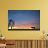 Buffalo op Sunset in Elk Island National Park Canvas Afdruk (Insitu (Woonkamer))