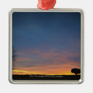 Buffalo op Sunset in Elk Island National Park Metalen Ornament