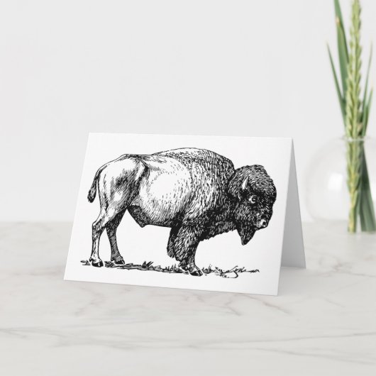 Buffalo or Bison greeting card Kaart (Voorkant)