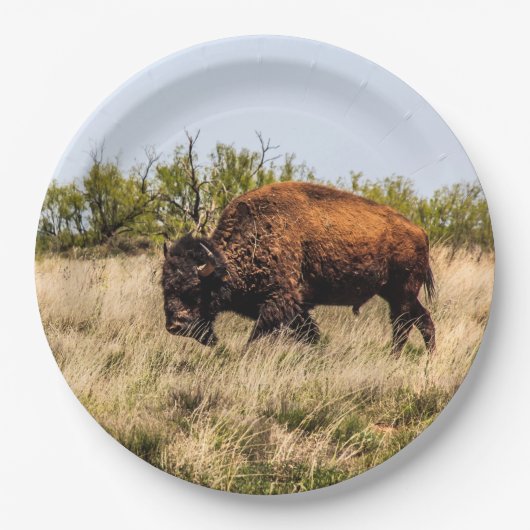 Buffalo Papieren Bordje (Voorkant)