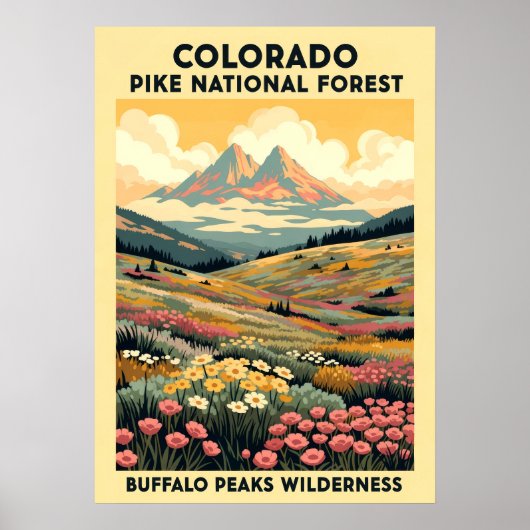Buffalo Peaks Wilderness V01 Poster (Voorkant)