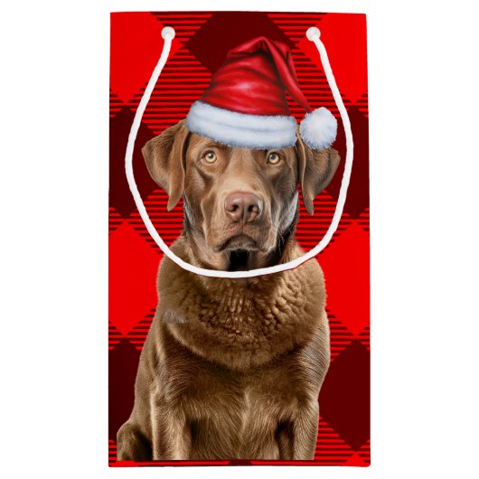 Buffalo Plaid Chesapeake Bay Kersthond Klein Cadeauzakje (Achterkant)