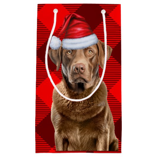 Buffalo Plaid Chesapeake Bay Kersthond Klein Cadeauzakje (Voorkant)