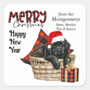Buffalo Plaid Newfoundland Puppy Kerstmis Vierkante Sticker
