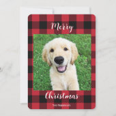Buffalo Plaid Prettig Kerstmis Eén Foto Feestdagenkaart (Voorkant)