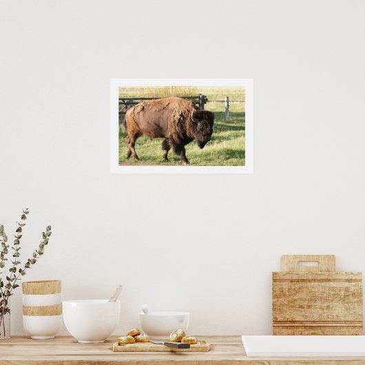 Buffalo Poster (Keuken)