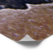 Buffalo Poster (Hoek)