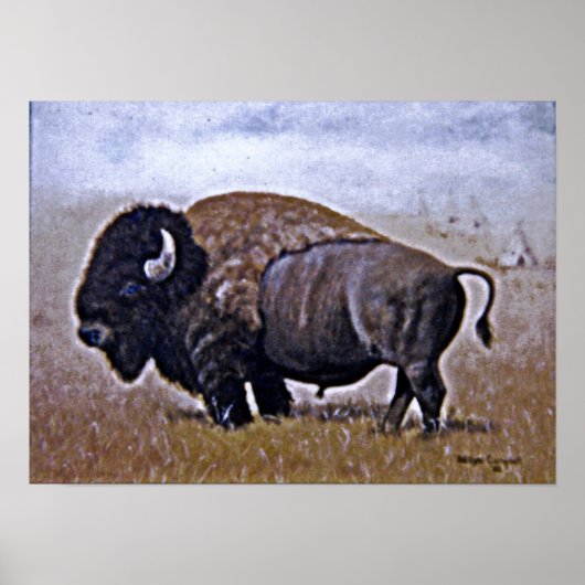 Buffalo Poster (Voorkant)