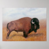 Buffalo Poster (Voorkant)