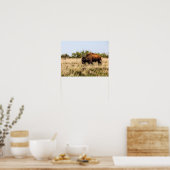 Buffalo Poster (Keuken)