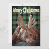 Buffalo Pset Labrador Wearing Antlers Foto Feestdagenkaart (Voorkant)