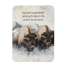Buffalo Resilience: Sneeuwstormmagneet Magneet
