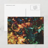 Buffalo Ripple art Briefkaart (Voorkant / Achterkant)