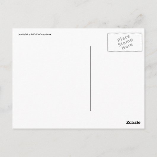 Buffalo Ripple art Briefkaart (Achterkant)