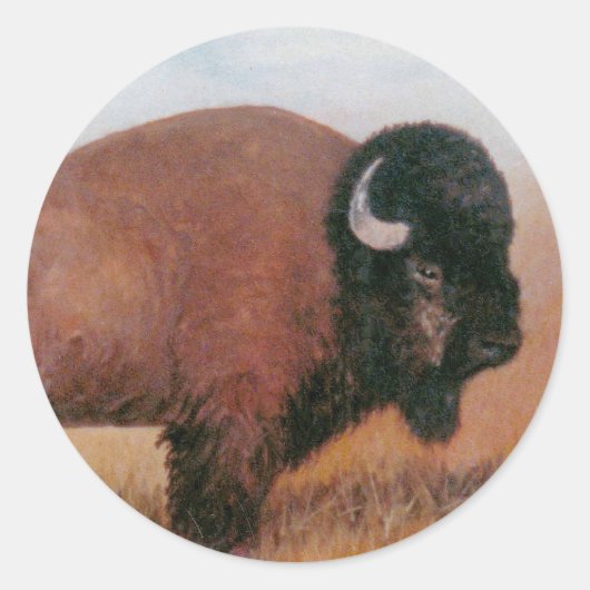 Buffalo Ronde Sticker (Voorkant)