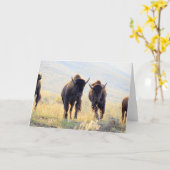 Buffalo Running Wenskaart Kaart (Gele Bloem)