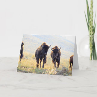 Buffalo Running Wenskaart Kaart