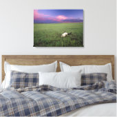 Buffalo-schedel in prairiegras bij Medora Canvas Afdruk (Insitu (Slaapkamer))