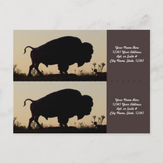 Buffalo Silhouette Bookmarkers Briefkaart