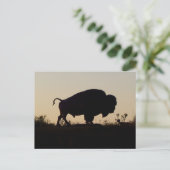 Buffalo Silhouette Briefkaart (Staand voorkant)