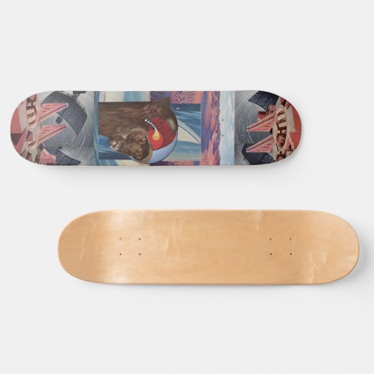 Buffalo Skateboard (Horizontaal)