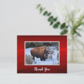 Buffalo Sneeuw Foto Bedankt Briefkaart (Staand voorkant)