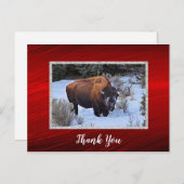 Buffalo Sneeuw Foto Bedankt Briefkaart (Voorkant / Achterkant)