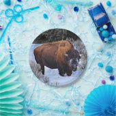 Buffalo Sneeuwfoto Papieren Bordje (Feest)