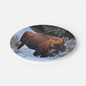 Buffalo Sneeuwfoto Papieren Bordje (Gekanteld)
