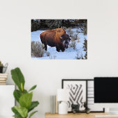 Buffalo Sneeuwfoto Poster (Thuiskantoor)