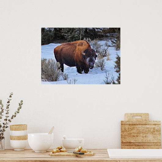 Buffalo Sneeuwfoto Poster (Keuken)