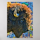 Buffalo Soul Poster (Voorkant)