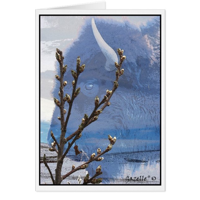 Buffalo Spirit (Voorkant)