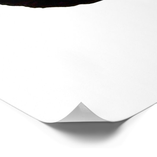 Buffalo Spirit Poster (Hoek)