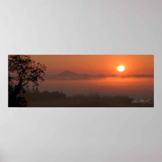 Buffalo Sunrise Poster (Voorkant)