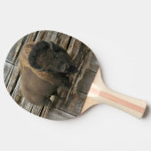 Buffalo Tafeltennisbatje (Zijkant)
