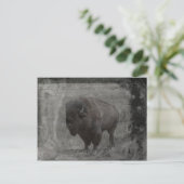 Buffalo Tintype Briefkaart (Staand voorkant)