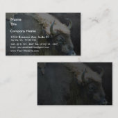 Buffalo Visitekaartje (Voorkant / Achterkant)