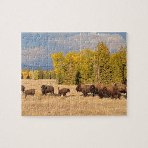 Buffalo Wyoming Legpuzzel