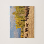 Buffalo Wyoming Legpuzzel (Verticaal)