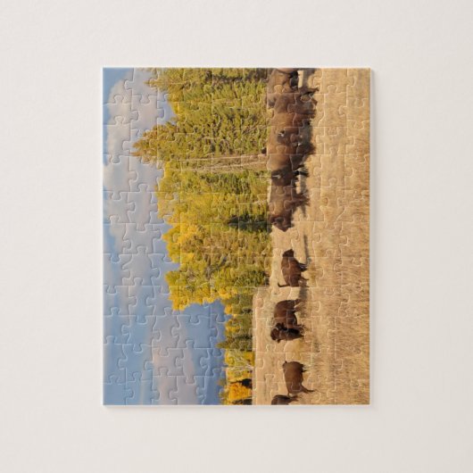 Buffalo Wyoming Legpuzzel (Verticaal)