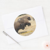 Buffalo Yellowstone Sticker (Envelop)