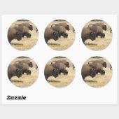 Buffalo Yellowstone Sticker (Vel)