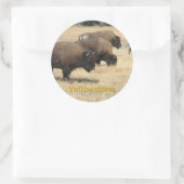 Buffalo Yellowstone Sticker (Tas)