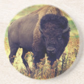 Buffalo Zandsteen Onderzetter (Voorkant)